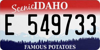 ID license plate E549733