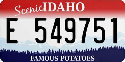 ID license plate E549751