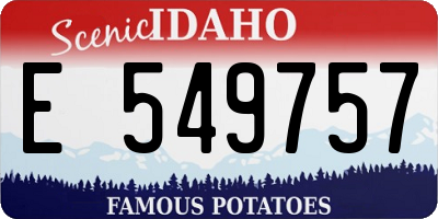ID license plate E549757