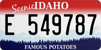 ID license plate E549787
