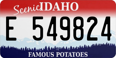 ID license plate E549824