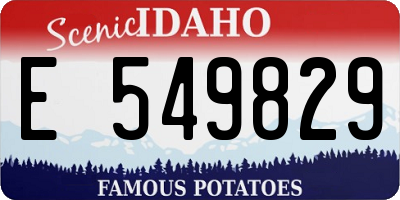 ID license plate E549829