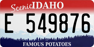 ID license plate E549876