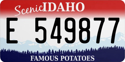 ID license plate E549877