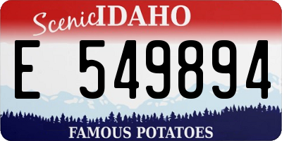 ID license plate E549894