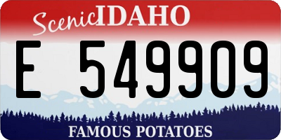 ID license plate E549909