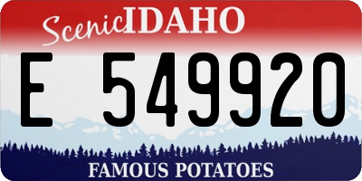 ID license plate E549920