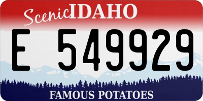 ID license plate E549929