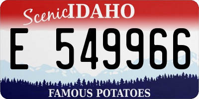 ID license plate E549966