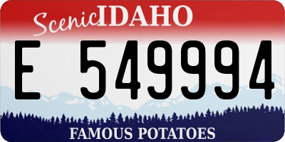ID license plate E549994