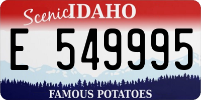ID license plate E549995