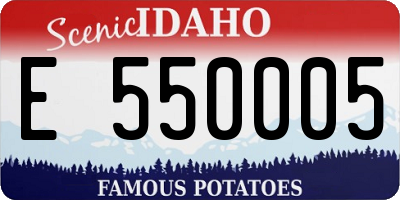 ID license plate E550005