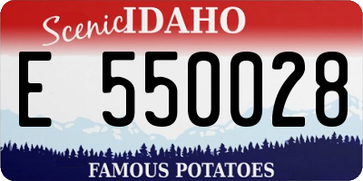ID license plate E550028