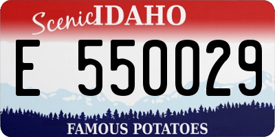 ID license plate E550029