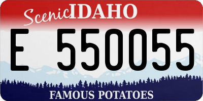 ID license plate E550055