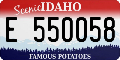 ID license plate E550058