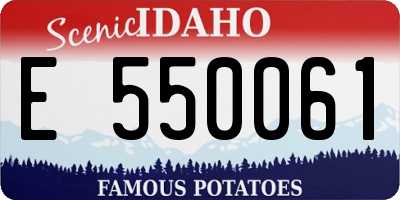 ID license plate E550061