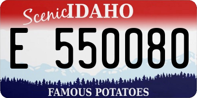 ID license plate E550080