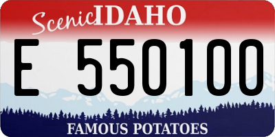 ID license plate E550100