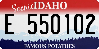 ID license plate E550102
