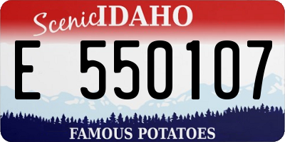 ID license plate E550107