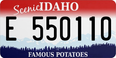 ID license plate E550110