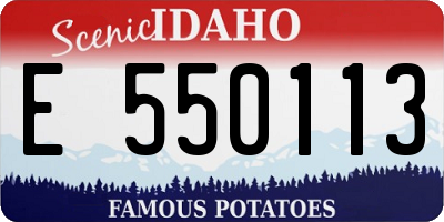 ID license plate E550113