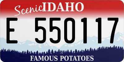 ID license plate E550117
