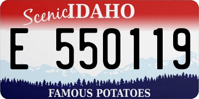 ID license plate E550119