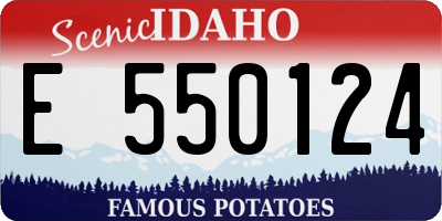 ID license plate E550124