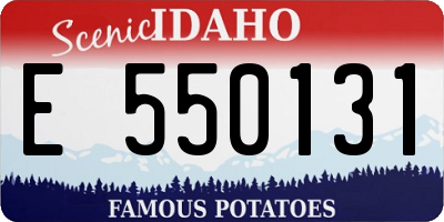 ID license plate E550131