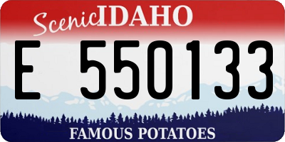 ID license plate E550133