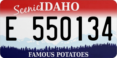ID license plate E550134