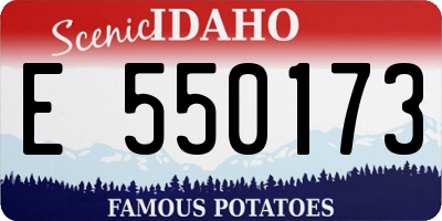 ID license plate E550173