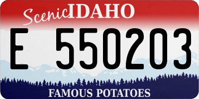 ID license plate E550203