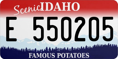 ID license plate E550205