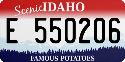 ID license plate E550206