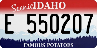 ID license plate E550207