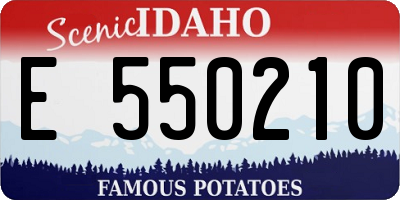 ID license plate E550210