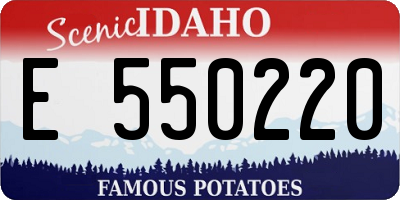 ID license plate E550220