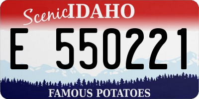 ID license plate E550221