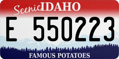 ID license plate E550223