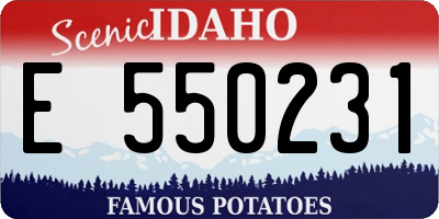 ID license plate E550231