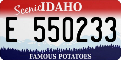 ID license plate E550233
