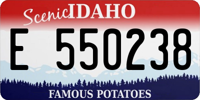 ID license plate E550238