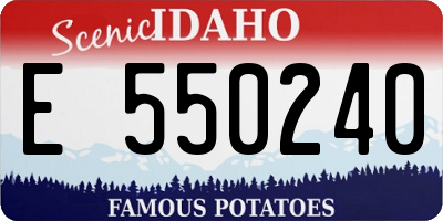 ID license plate E550240