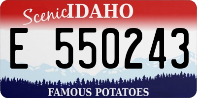 ID license plate E550243