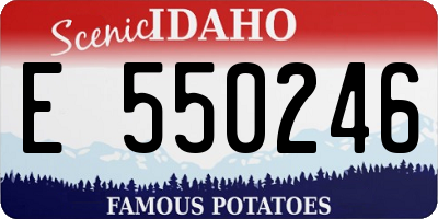 ID license plate E550246