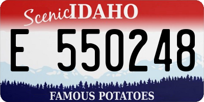 ID license plate E550248