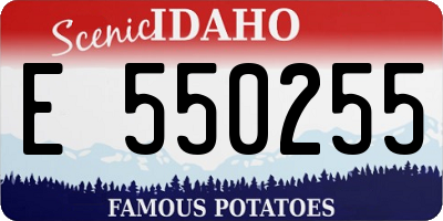 ID license plate E550255